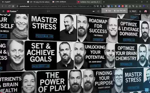 YouTube Script Copy  from Chrome web store to be run with OffiDocs Chromium online