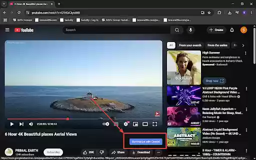 YouTube Summarizer with Gemini  from Chrome web store to be run with OffiDocs Chromium online