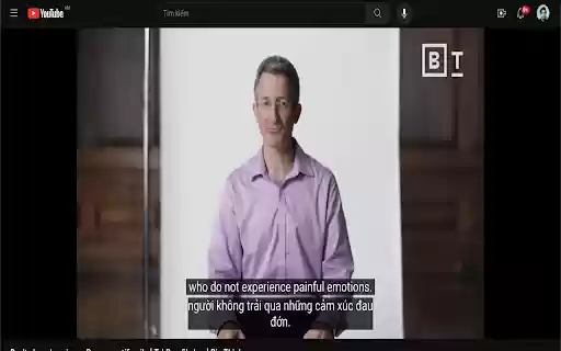 YouTube Translator Parallel (vi en)  from Chrome web store to be run with OffiDocs Chromium online