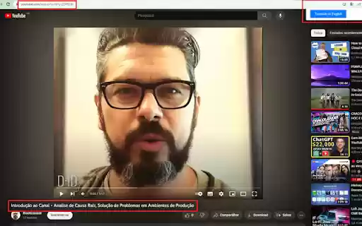 Youtube Video Language Selector  from Chrome web store to be run with OffiDocs Chromium online