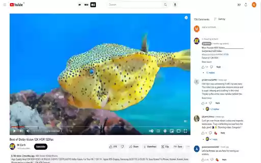 YT Layout Tweak  from Chrome web store to be run with OffiDocs Chromium online