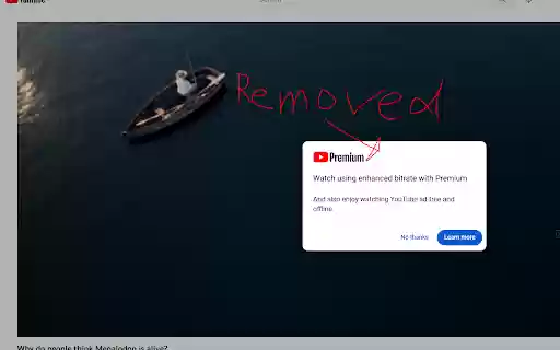 YT Promo auto remove  from Chrome web store to be run with OffiDocs Chromium online