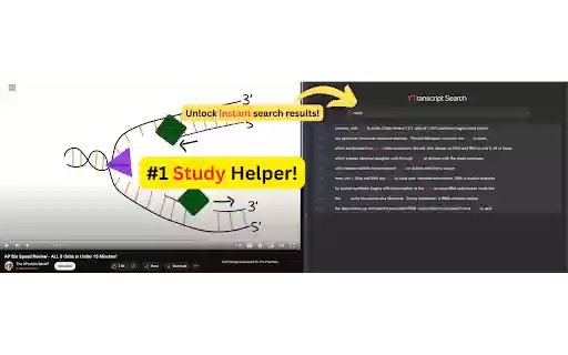 YTranscript  from Chrome web store to be run with OffiDocs Chromium online