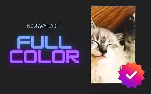 YT Studio Kittens  from Chrome web store to be run with OffiDocs Chromium online