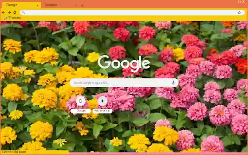 Zinnia Lilliput  from Chrome web store to be run with OffiDocs Chromium online