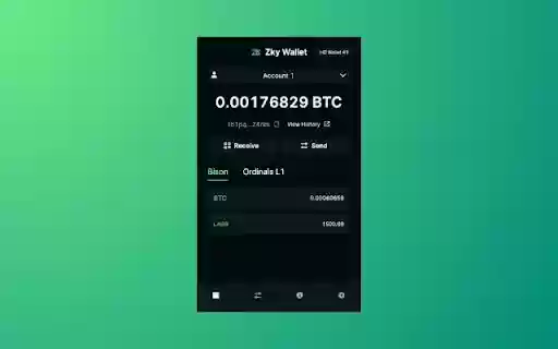 ZKy Wallet  from Chrome web store to be run with OffiDocs Chromium online