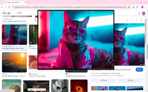Zooma Image Zoomer  from Chrome web store to be run with OffiDocs Chromium online