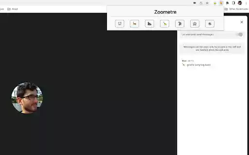 Zoometre  from Chrome web store to be run with OffiDocs Chromium online