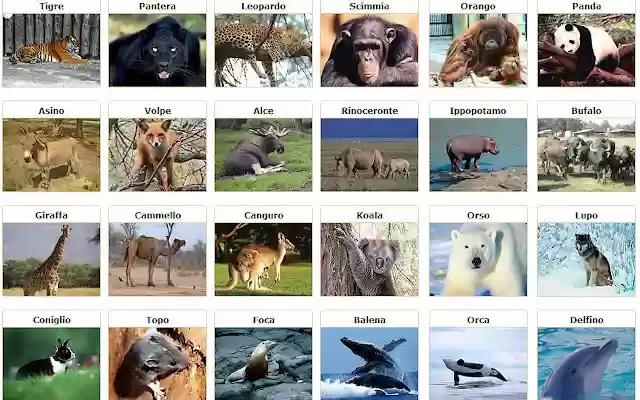 Zoo virtuale from Chrome web store to be run with OffiDocs Chromium online Zoo virtuale from Chrome web store to be run with OffiDocs Chromium online