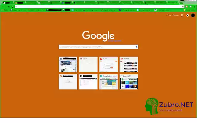 Zubro.NET_ChromeTheme1  from Chrome web store to be run with OffiDocs Chromium online