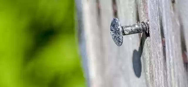 Free download screw drink macro metal steel free picture to be edited with GIMP free online image editor