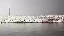 Free download Sea Alone Nature -  free video to be edited with OpenShot online video editor