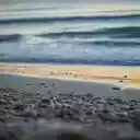 Sea and sand and gravel  screen for extension Chrome web store in OffiDocs Chromium