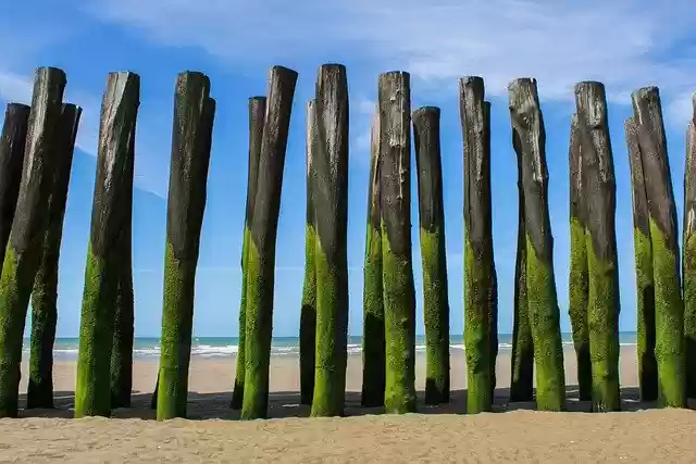 Libreng download sea beach barrier wood separation libreng larawan na ie-edit gamit ang GIMP na libreng online na editor ng imahe