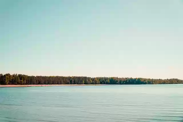 Free download sea beach forest nature horizon free picture to be edited with GIMP free online image editor