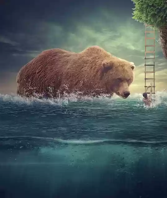 Free download sea bear surreal man digital art free picture to be edited with GIMP free online image editor