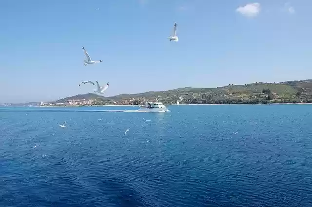 Free download Sea Boat Birds -  free photo or picture to be edited with GIMP online image editor