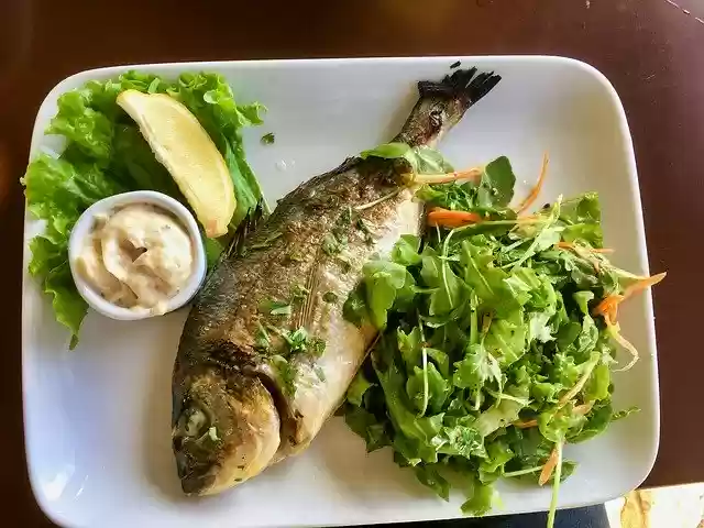 Free download Sea Bream Fish Eat -  free free photo or picture to be edited with GIMP online image editor