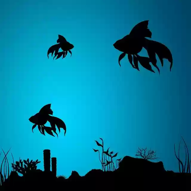Free download Sea Fish Coral -  free illustration to be edited with GIMP free online image editor