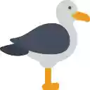 Seagull and Starfish at the Shore  screen for extension Chrome web store in OffiDocs Chromium