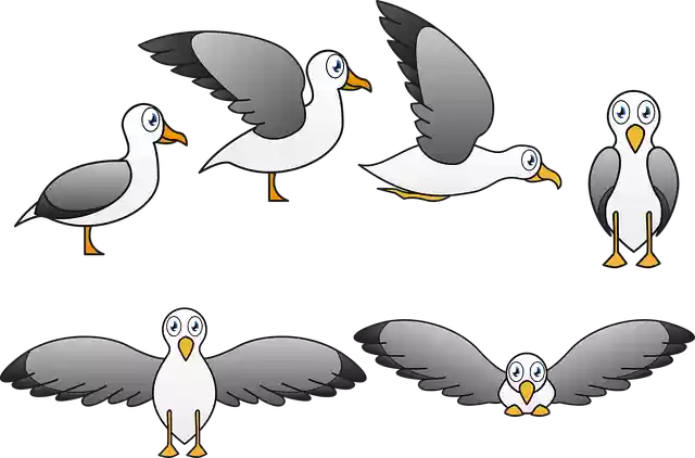 Free download Seagull Ave Fly - Free vector graphic on Pixabay free illustration to be edited with GIMP free online image editor