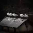 Seagulls and small house  screen for extension Chrome web store in OffiDocs Chromium