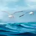 Seagulls fly over the sea  screen for extension Chrome web store in OffiDocs Chromium