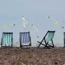 Seagulls spread their wings  screen for extension Chrome web store in OffiDocs Chromium