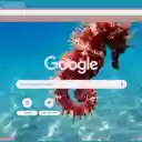 Seahorse  screen for extension Chrome web store in OffiDocs Chromium