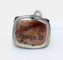 Free download Seal free photo or picture to be edited with GIMP online image editor