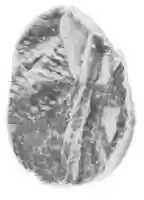 Free download Sealing fragment free photo or picture to be edited with GIMP online image editor