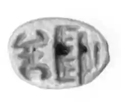 Free download Seal in the Form of a Human Head free photo or picture to be edited with GIMP online image editor