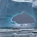 Seals Repose Under an Icy Arch  screen for extension Chrome web store in OffiDocs Chromium