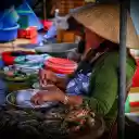 Sea market  screen for extension Chrome web store in OffiDocs Chromium