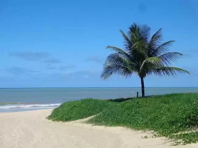 Free download Sea Ocean -  free photo or picture to be edited with GIMP online image editor