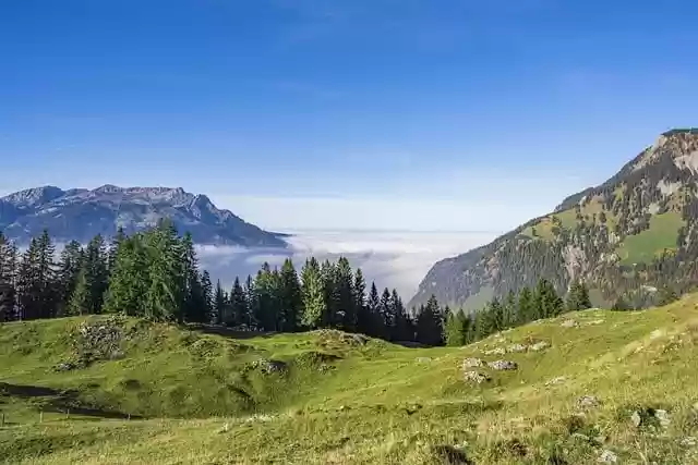 Free download sea of fog fog alps mountains free picture to be edited with GIMP free online image editor