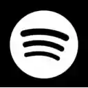 Search on Spotify  screen for extension Chrome web store in OffiDocs Chromium