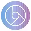 Search with Gemini Bard Summarizer  screen for extension Chrome web store in OffiDocs Chromium