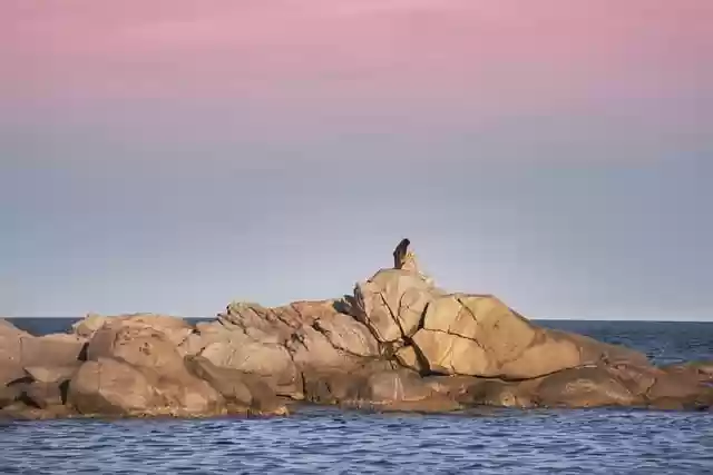 Free download sea rocks woman sunset reading free picture to be edited with GIMP free online image editor