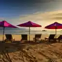 Seashore During Dawn  screen for extension Chrome web store in OffiDocs Chromium