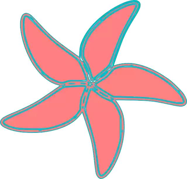 Free download Sea Starfish Ocean - Free vector graphic on Pixabay free illustration to be edited with GIMP free online image editor