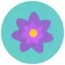 Sea Sunset Tropical  screen for extension Chrome web store in OffiDocs Chromium