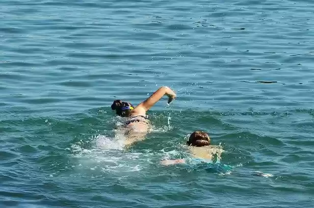 Free download Sea Swimming Rippled -  free photo or picture to be edited with GIMP online image editor