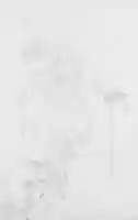 Free download Seated Woman with Fan (from Scrapbook) free photo or picture to be edited with GIMP online image editor