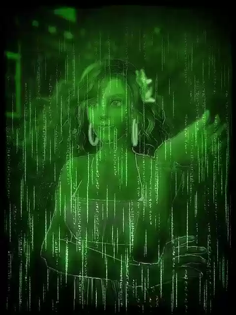 Free download Second Life Avatar Matrix -  free illustration to be edited with GIMP free online image editor