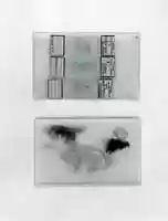 Free download Section of Nephrite Mounted in a Microscope Slide free photo or picture to be edited with GIMP online image editor