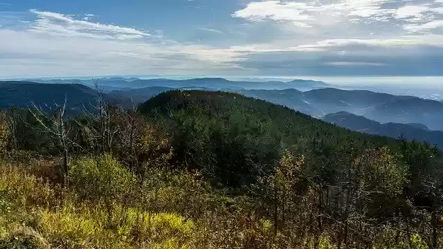Tải xuống miễn phí Seebach Black Forest Northern - ảnh hoặc ảnh miễn phí được chỉnh sửa bằng trình chỉnh sửa ảnh trực tuyến GIMP