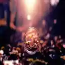 Seedling In A Bubble  screen for extension Chrome web store in OffiDocs Chromium