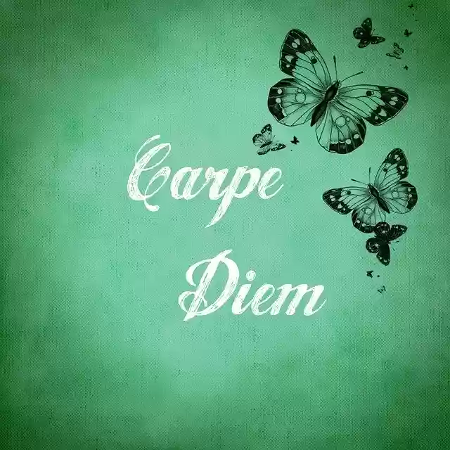 Free download Seize The Day Butterflies -  free illustration to be edited with GIMP free online image editor