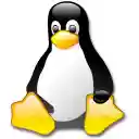 Select and copy all  screen for extension Chrome web store in OffiDocs Chromium